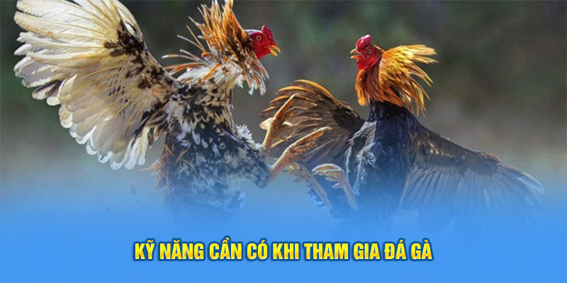 Đá gà cựa dao- kỹ năng cần có khi tham gia 