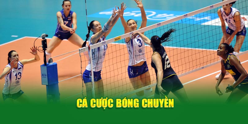 Saba Sports 69VN- cá cược bóng chuyền 