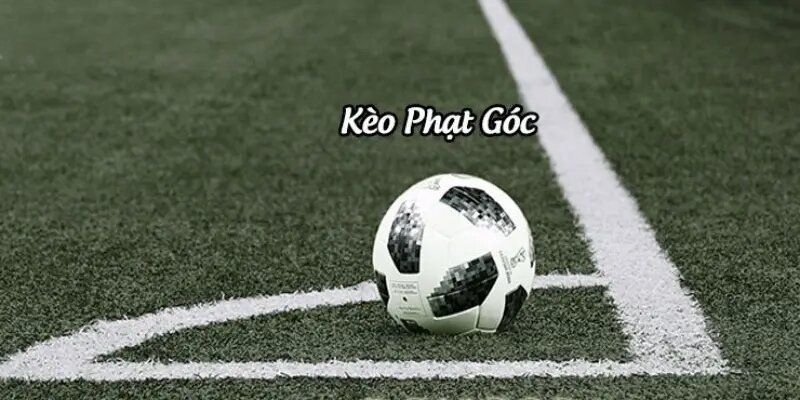 kèo phạt góc- ava